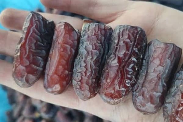 تصویر 2 از قیمت و خرید خرما پیارم کیلویی + فروش ارزان